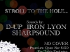 nye-flyer